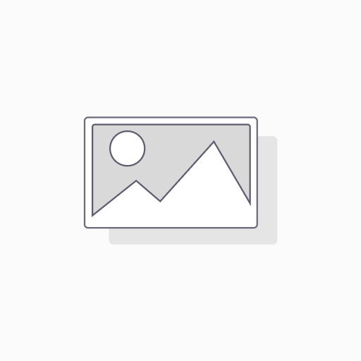 Brosse à ailette