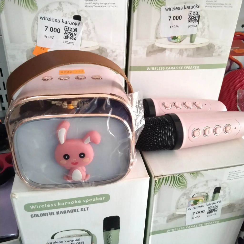 Wireless karaoke speaker