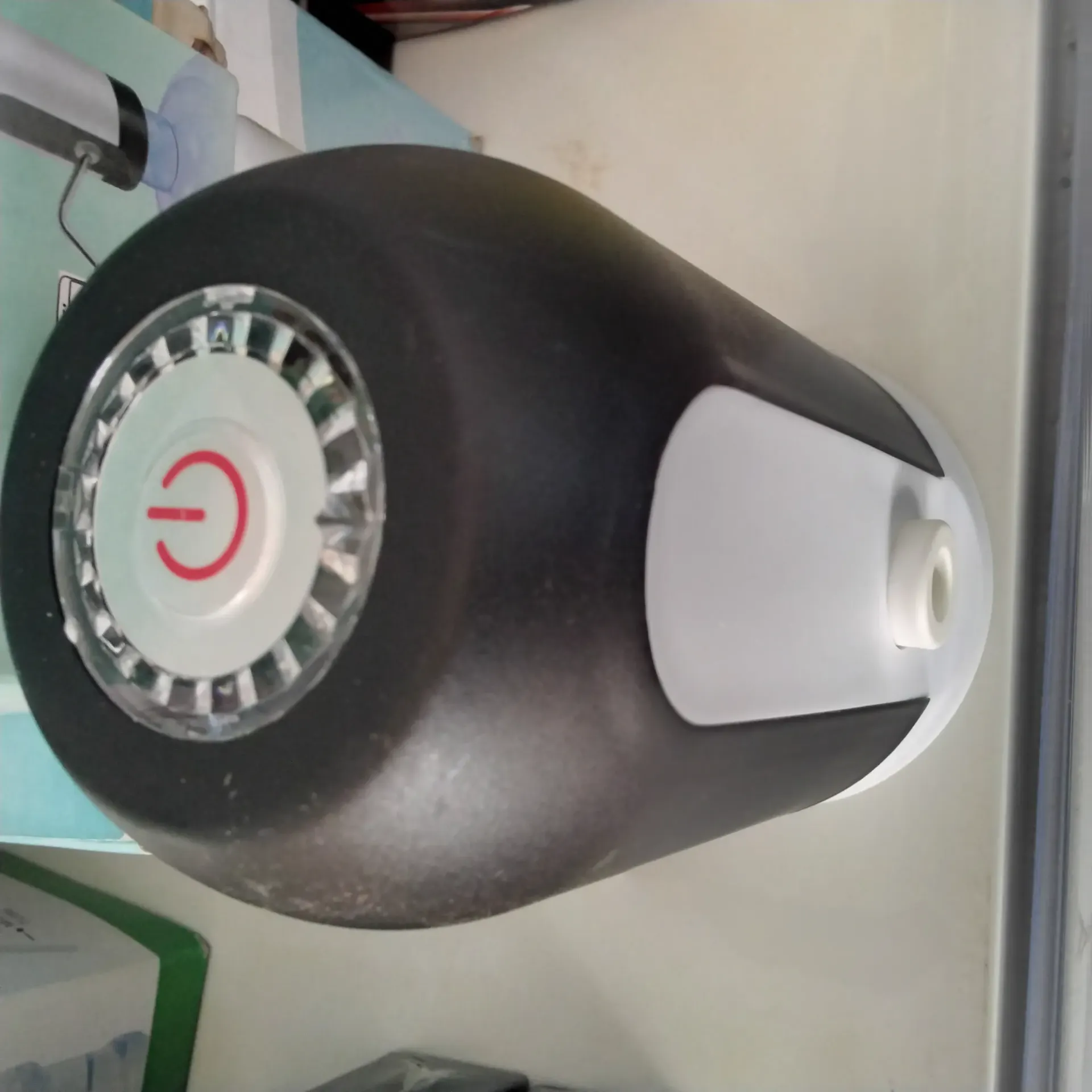 Automatic water dispenser