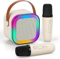 Wireless speaker P12